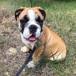 George Winston Churchill - @georgewinstonchurchill - Instagram