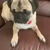 Georgewinston - @secretgeorge - TikTok