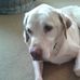Karen Winterburn - Facebook