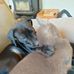 Sidney George Winterburn - Facebook