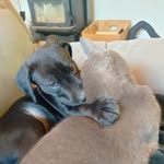 Sidney George Winterburn - @sidneywinterburn - Instagram