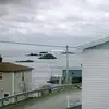 _george_withers_🇨🇦 - @_george_716 - TikTok