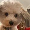 george - @georgewithers3 - TikTok