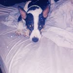 George Withrow - @nobodyuno1 - Instagram