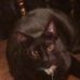 George Woelfel - Facebook