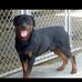 George Wunderlich - Facebook