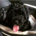 George Yeoman - @george.yeoman - Instagram