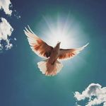Koti - @georgeyule_koti - Instagram