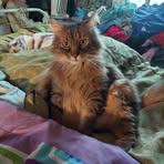 Georgeann M Wright - Facebook