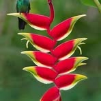 Georgene Boyd - Facebook