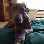Georgene Hall Heist - @georgenehall - Instagram