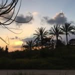 Georges Abdallah - @georges1abdl963 - Instagram