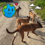 Andre Georges Diouf - @geor.gesandre - Instagram
