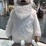 Georges-André Duc - @georgesandreduc - Instagram