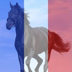 Georges Bonnet - @georges.bonnet.52 - Instagram