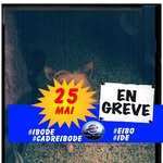 Georges Bonnet - @georges.bonnet.5055 - Instagram