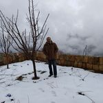 Georges Daoud - @georges.daoud.925 - Instagram
