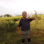 Georges Pierre Coulon - @georgespierrecoulon - Instagram