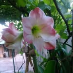 Georgeta Radu - @georgeta.radu.102 - Instagram