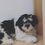 georgeta radu - @radugeorgeta96 - Instagram