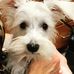 Ruthie Georgetta and Murphy Brown - Facebook