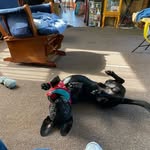 Georgette Bartkowski - @bartkowskigeorgette - Instagram