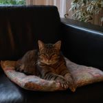 Georgette Bello - @georgette_bello - Instagram