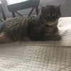 Georgette Clooney - @georgetteclooney1 - TikTok