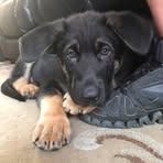 Georgette Daniels - Facebook