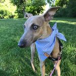 Opal Georgette Davis - @opal.georgette - Instagram