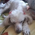 Georgette Gonzalez - Facebook