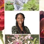 Georgette Johnson-Grant - @nextmovewithgeorgette - Instagram