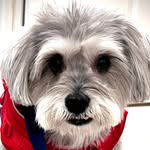 Georgette Harris - @georgetteharris61 - Instagram