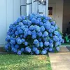 georgetteharris70 - @georgetteharris70 - TikTok