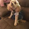 George Hensley - @georgehensley - TikTok