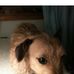 Georgette Hensley - Facebook