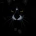 Georgette Kramer - Facebook