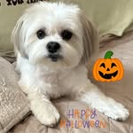 Georgette Murdock Ungemah - @jazzi628 - Instagram