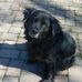 Georgette Oliver - Facebook