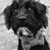 Georgette Page - Facebook