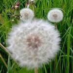 Georgette Penasse - @georgettepenasse - Instagram