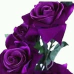 Georgette Perez - Facebook