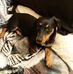 Georgette Reyes - Facebook