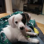 Georgette Stephens - Facebook