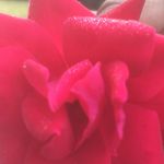 Brandi Georgette Turner - @brandigt19632 - Instagram