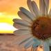 Georgette Walters - Facebook