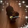 georgiaabner788 - @georgiaabner788 - TikTok