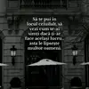 Ionuțandreigeorgian1234danieI0 - @ionuandreigeorgia - TikTok