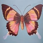 Georgina Azzopardi - @azzoparm - Instagram