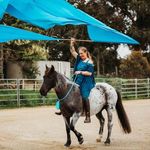 Georgia Bates - @journeyfromwild - Instagram